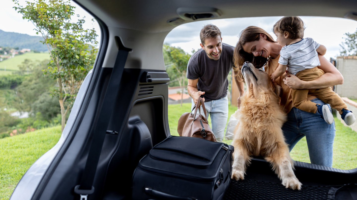 Australia’s Best Car Insurance for March 2025 Mozo